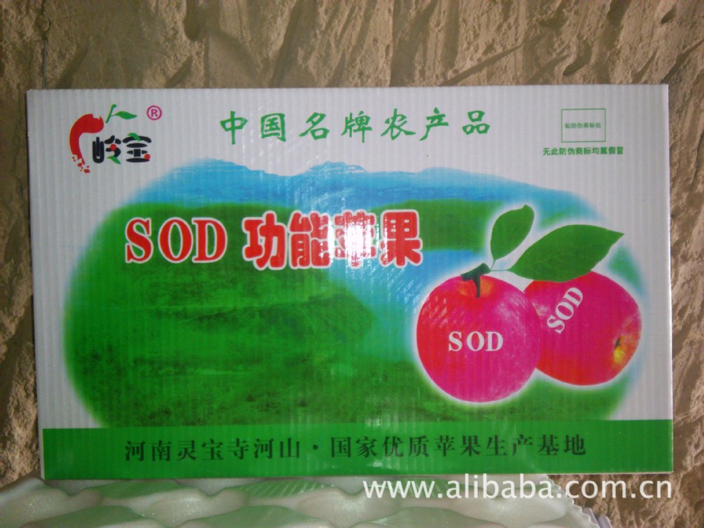 高山果園的饋贈(zèng) 綠色無(wú)公害紅富士蘋果，品質(zhì)與健康的承諾