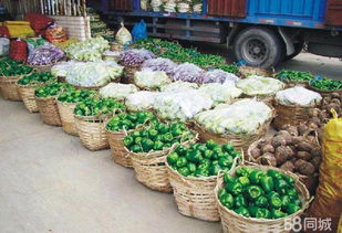 廣州農(nóng)產(chǎn)品全鏈條配送服務(wù) 從田間到餐桌的一站式解決方案